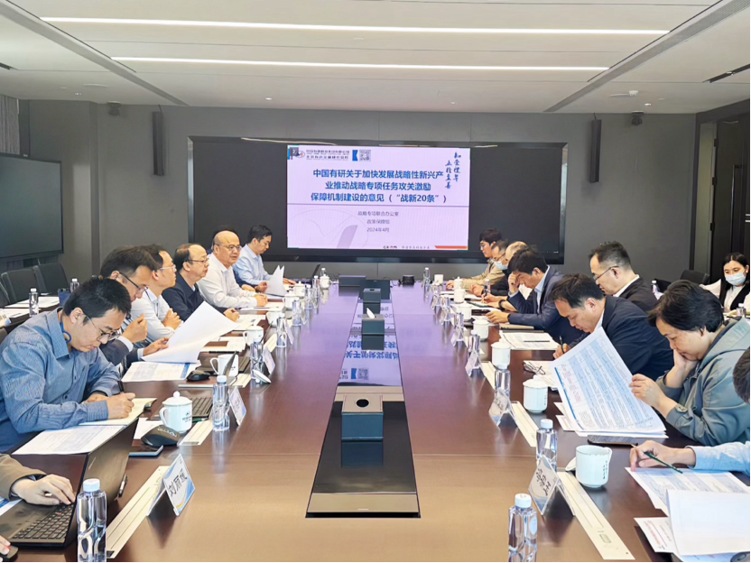 中国南宫NG28 召开落实“战新20条”工作部署会